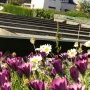 Boulodrome de Ty Langastel