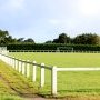 Terrain de foot d'honneur - Poul-Palud