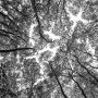 Alain Berlinet - 2024