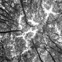 Alain Berlinet - 2024