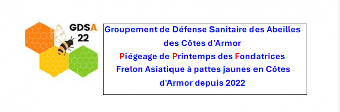 PDF